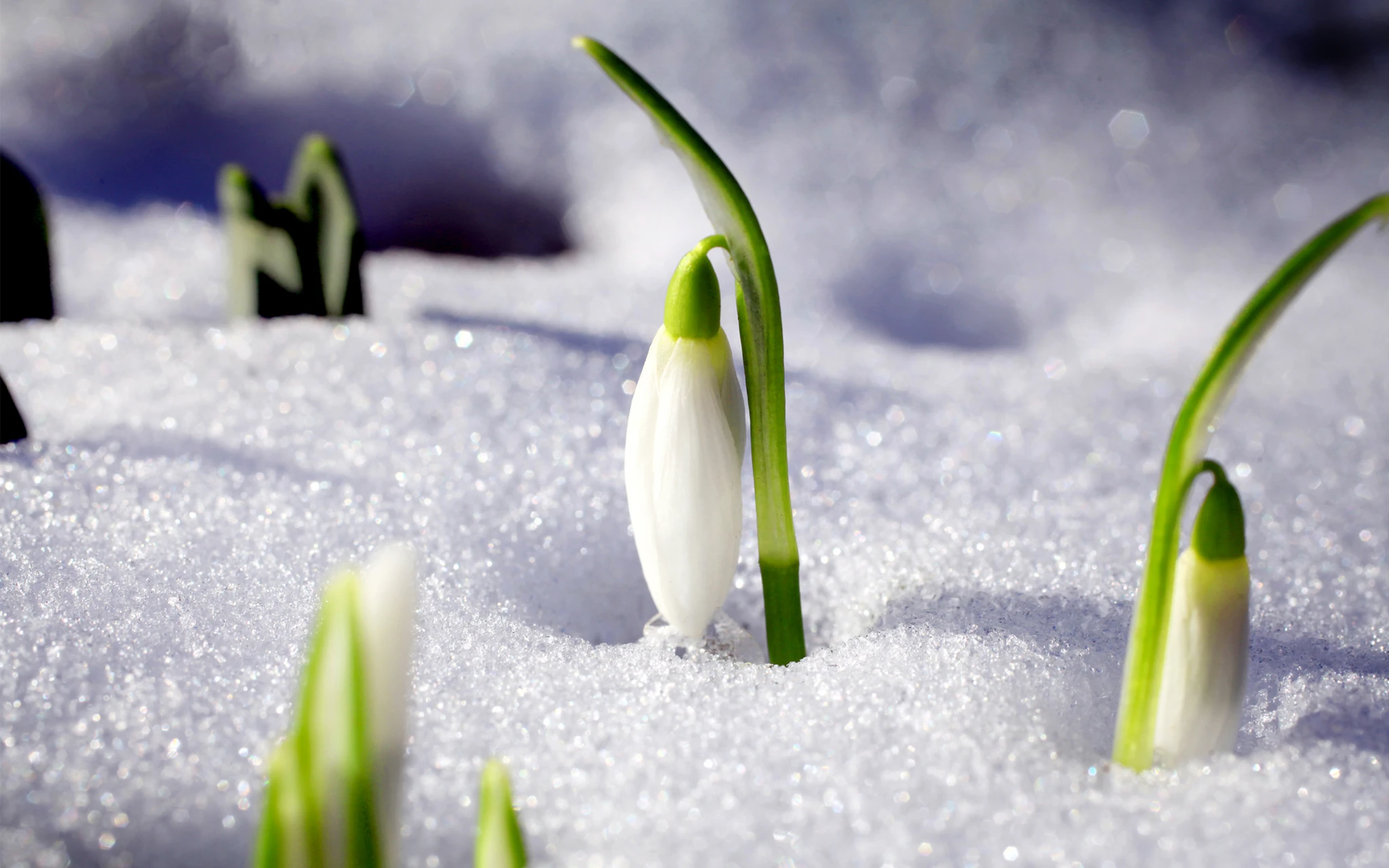 Dotcom_banner_2880x1800