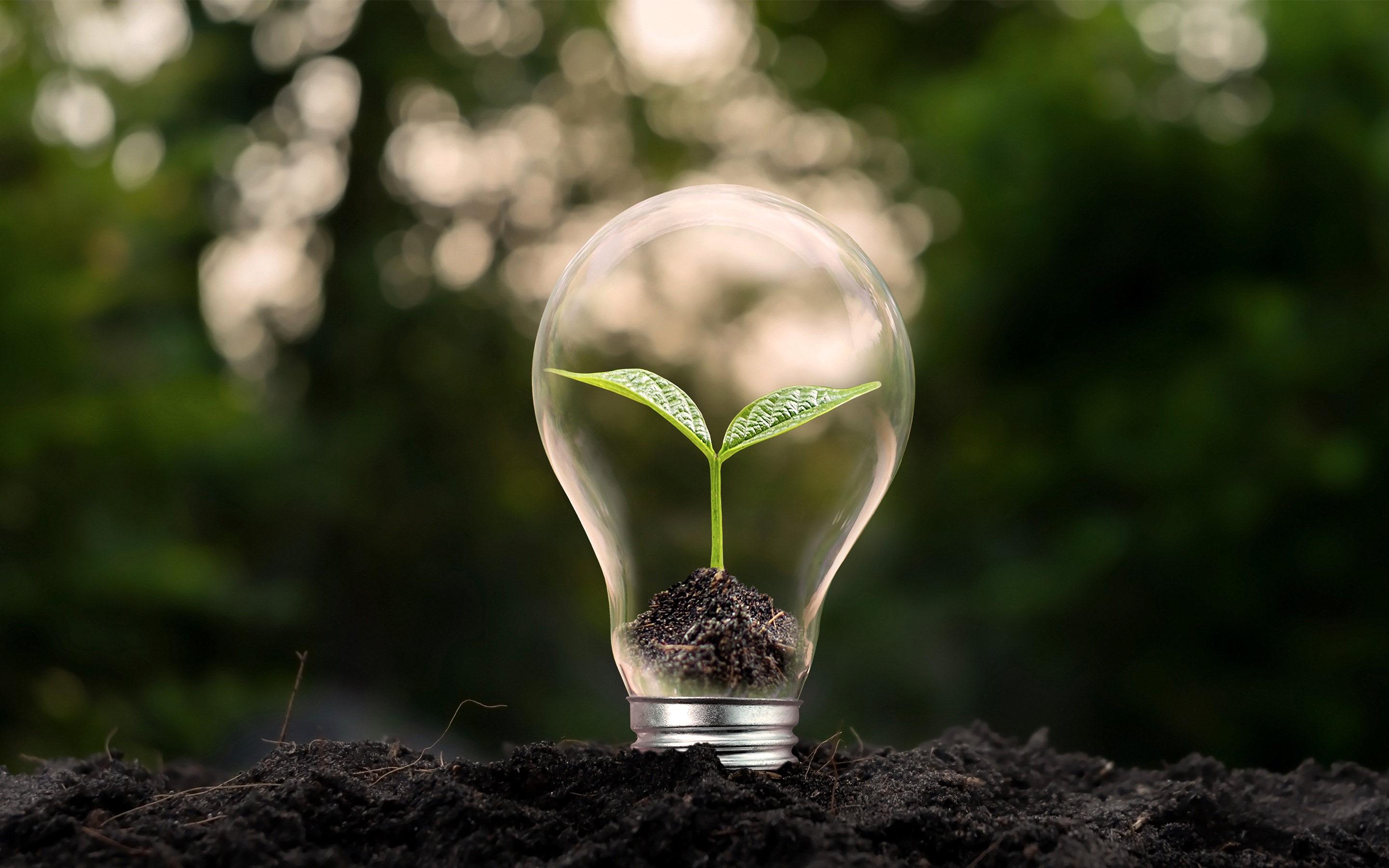 5549 EDIST 2023-Landing page banner-April copy
