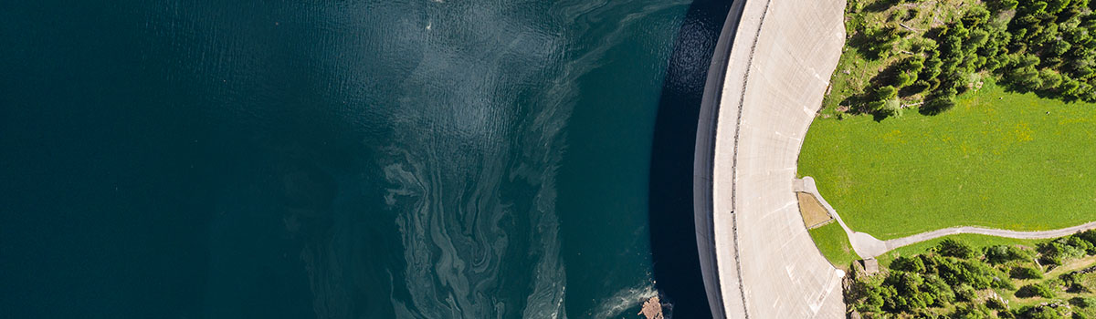 DotCom_Banner_1200x350-2