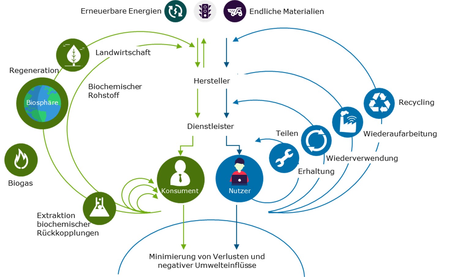 Abbildung 3 Wertekreislauf der Ellen MacArthur Foundation Capgemini Invent