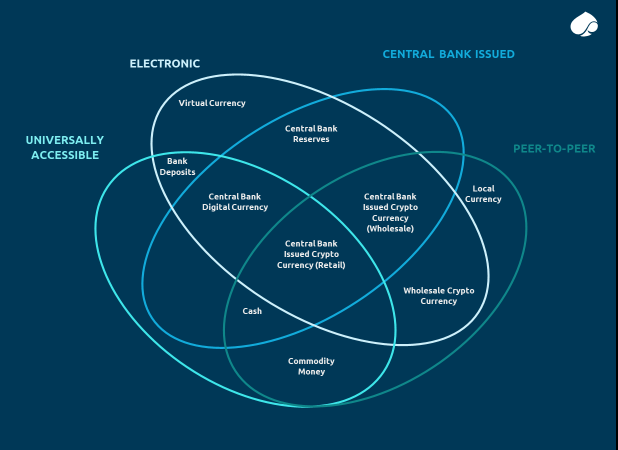 The Money Flower
