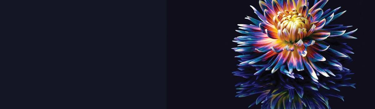 Digital_twins_Dotcom-1200x350-1
