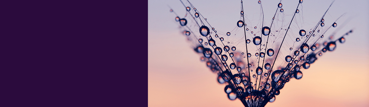 DotCom_Banner_1200x350-5