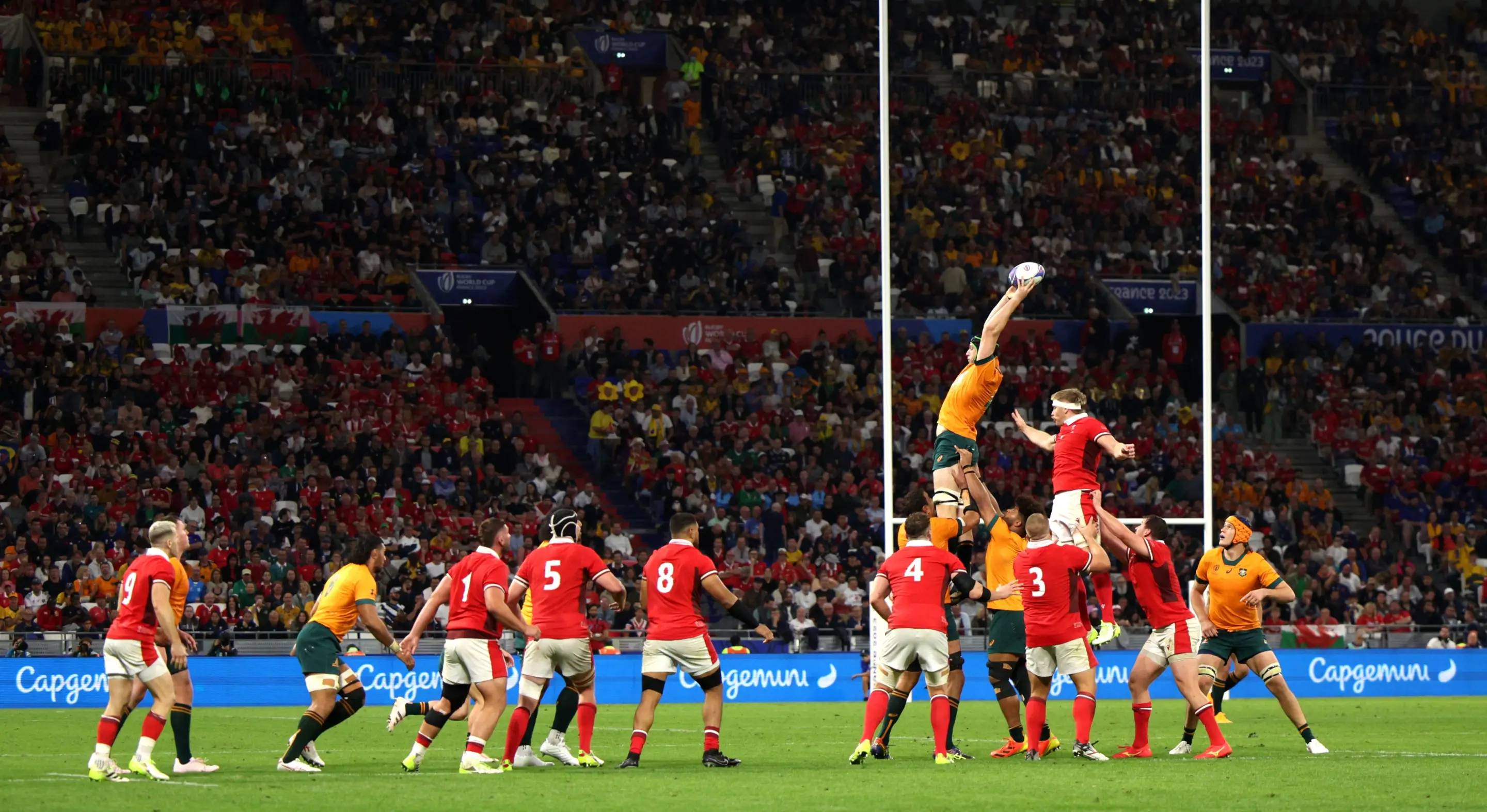 RWC-web-banner-1