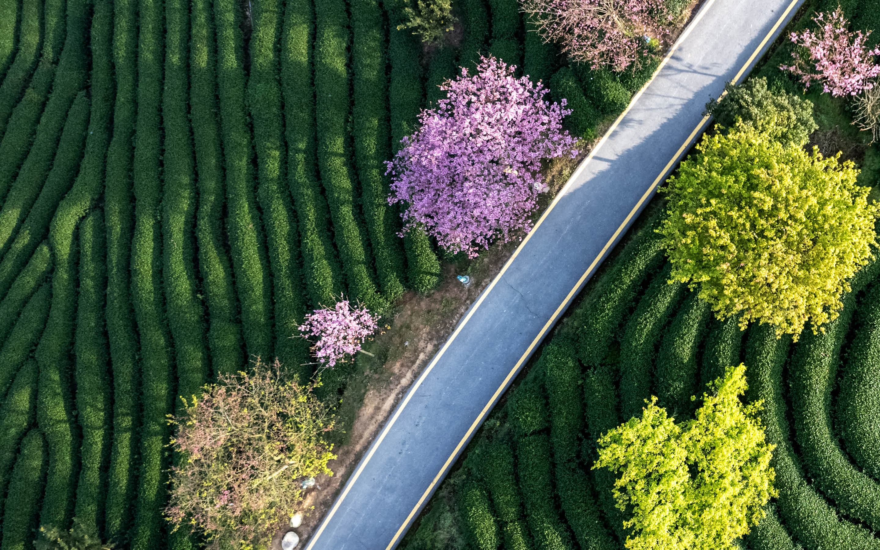 Capgemini-POV-Ecologie360-HeroBanner