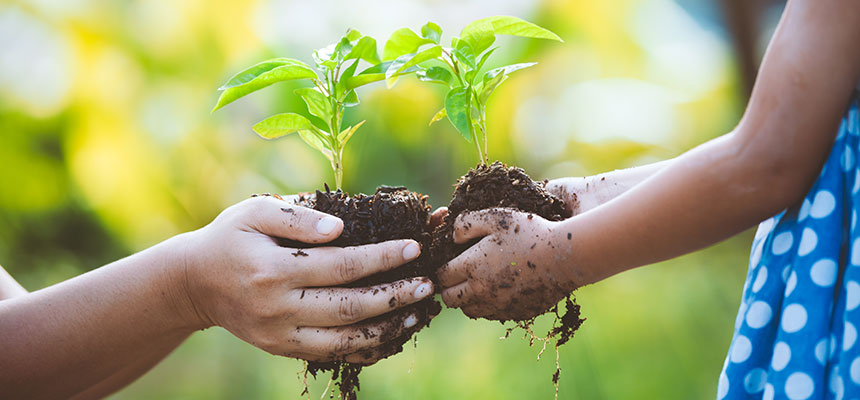 Environment-Sustainability