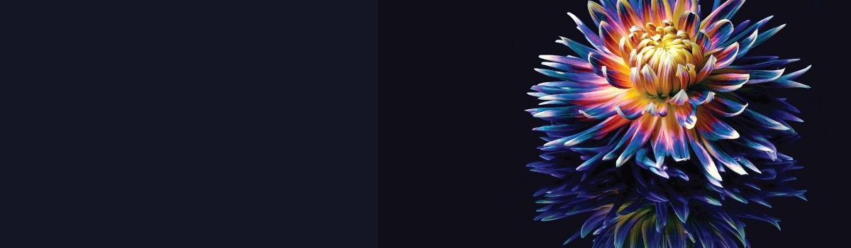 Digital_twins_Dotcom-1200x350-1