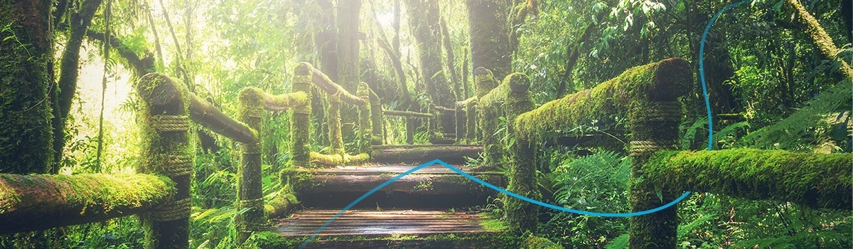 cgi-netzero-banner-blog3