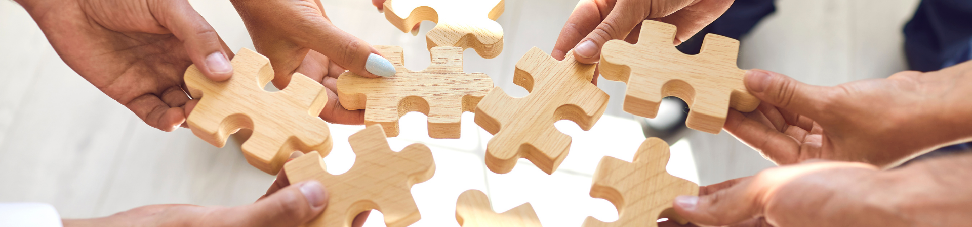 corporate-experience-and-Workforce-and-Organisation