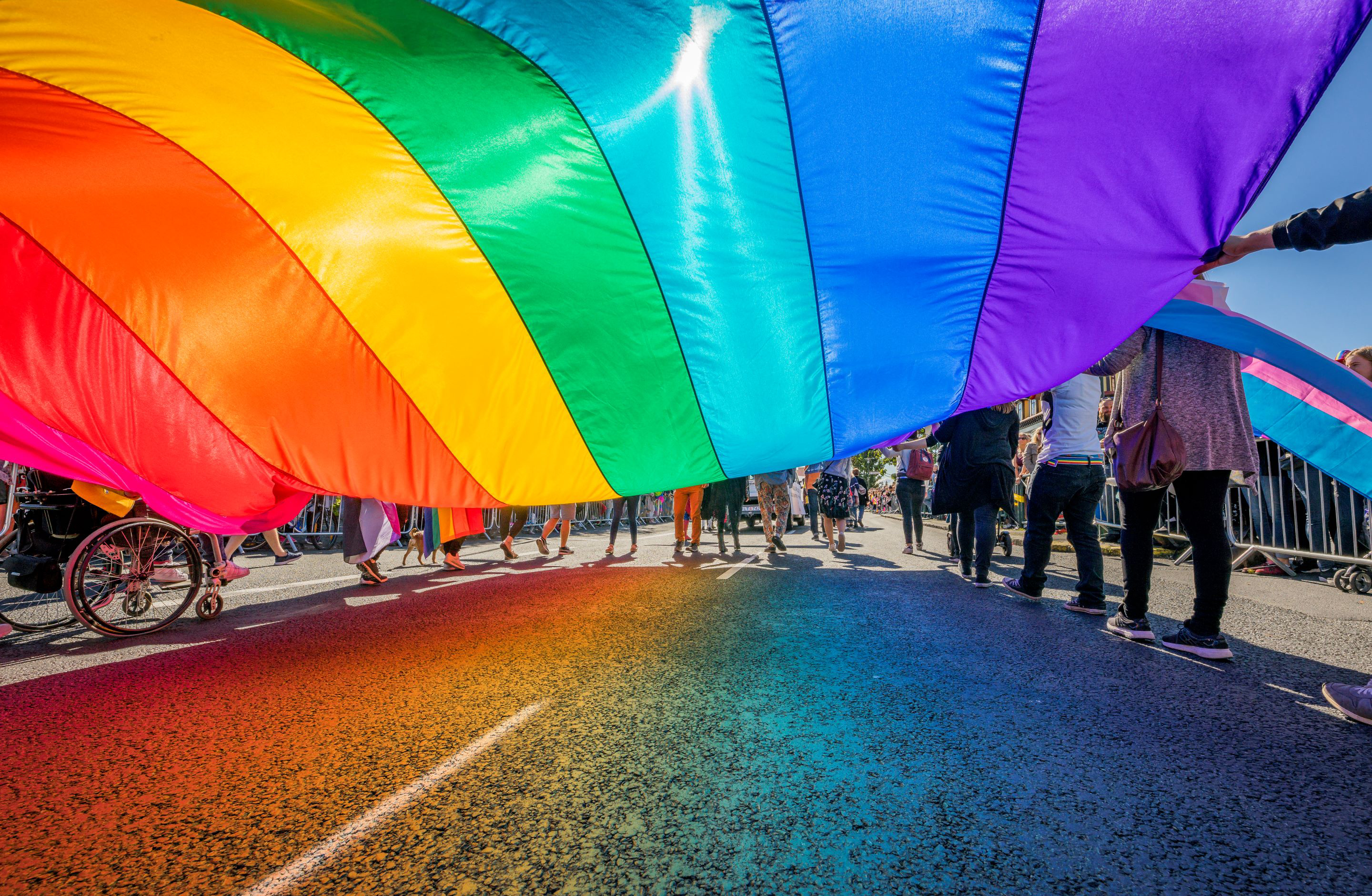 1C-012.23c Web page banner Pride