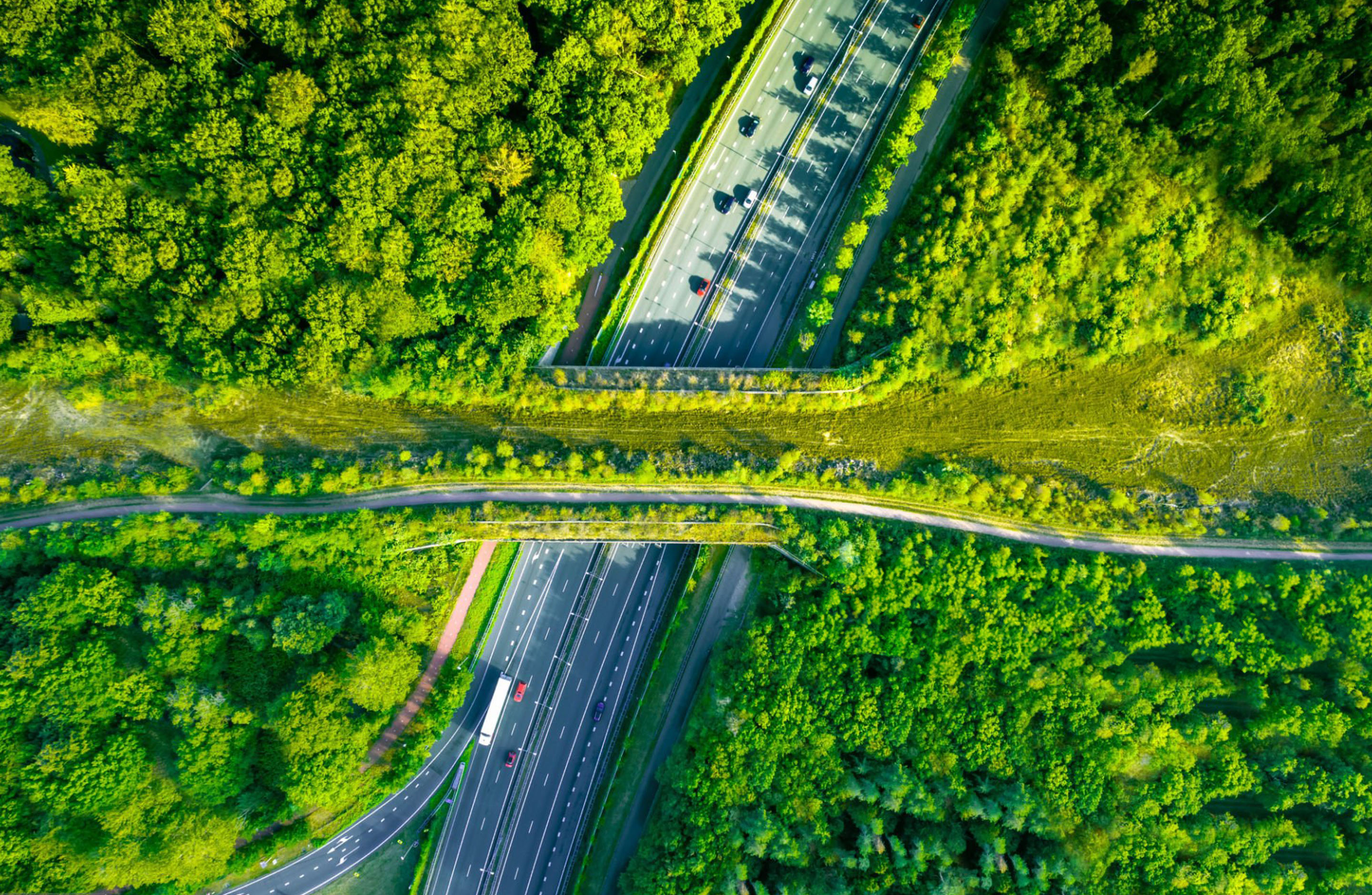 2D-013.23a Society 5.0 assets_Webpage banner