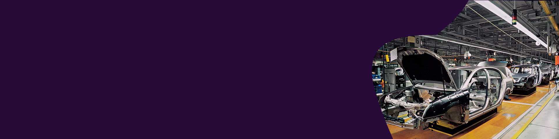 3026-Cooper-Standard-SAP-Duplication-web