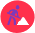 professional services-execution