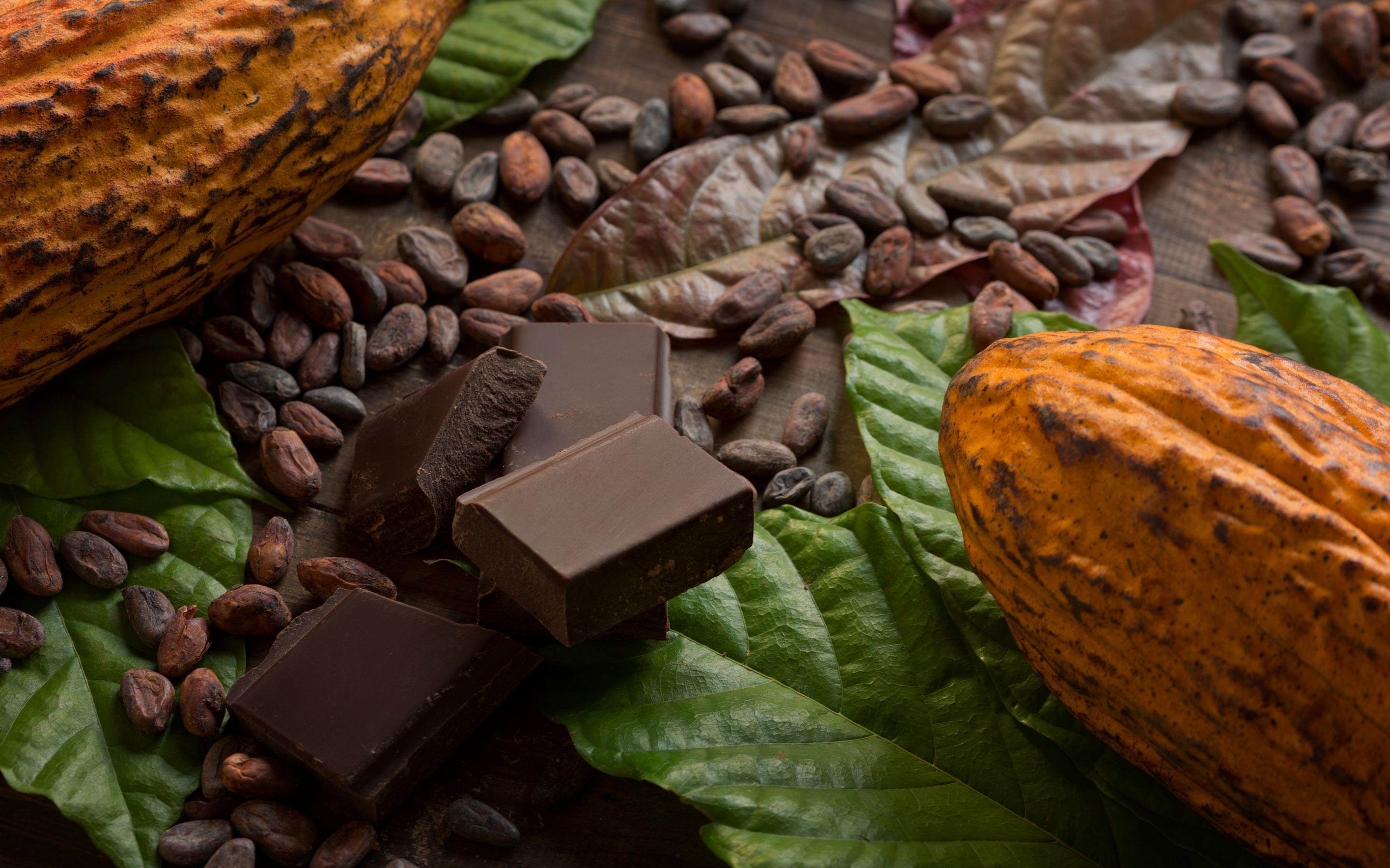 Capgemini_Client-Stories_Barry-Callebaut