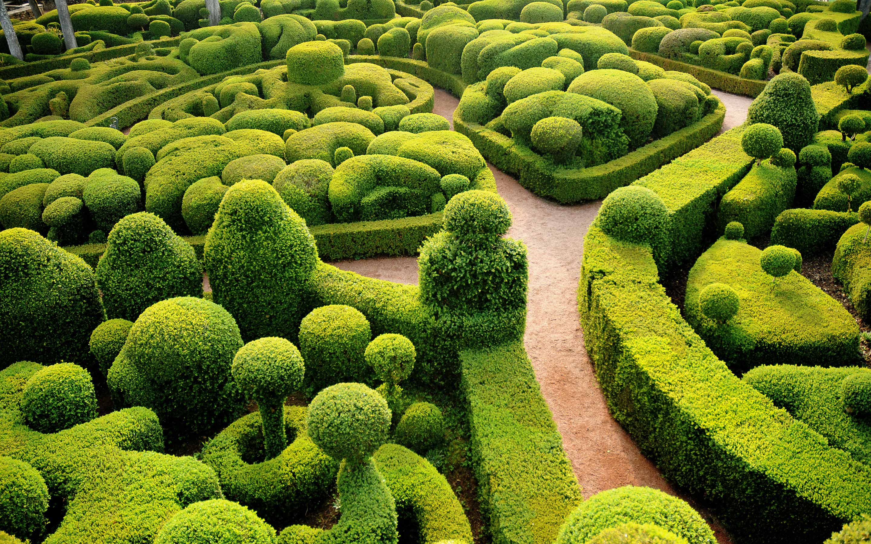 Capgemini_CONSOLIDATE-YOUR-VENDOR-LANDSCAPE-FOR-BUSINESS-GROWTH