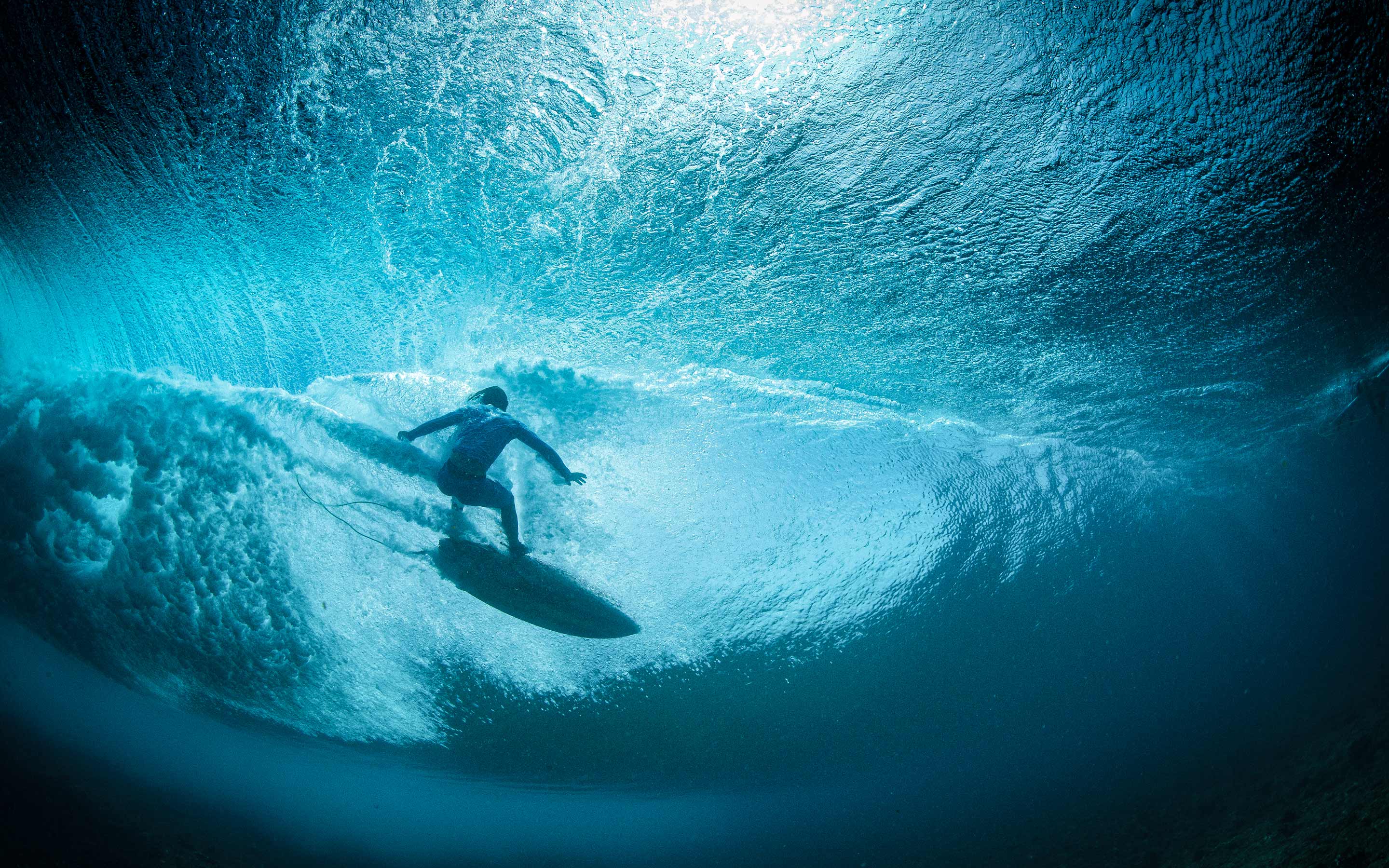 Capgemini_Data-powered_innovation_Wave2