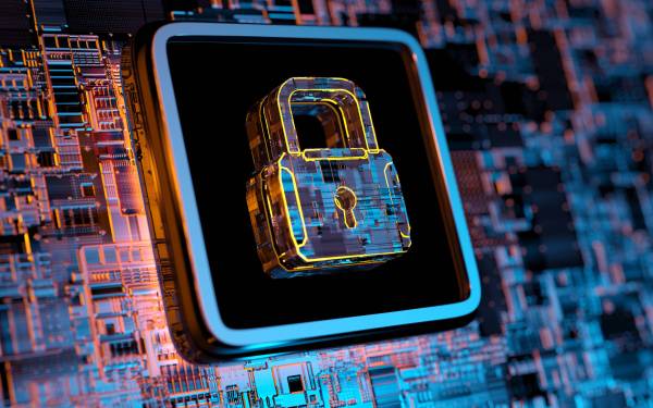 Public sector – digital security