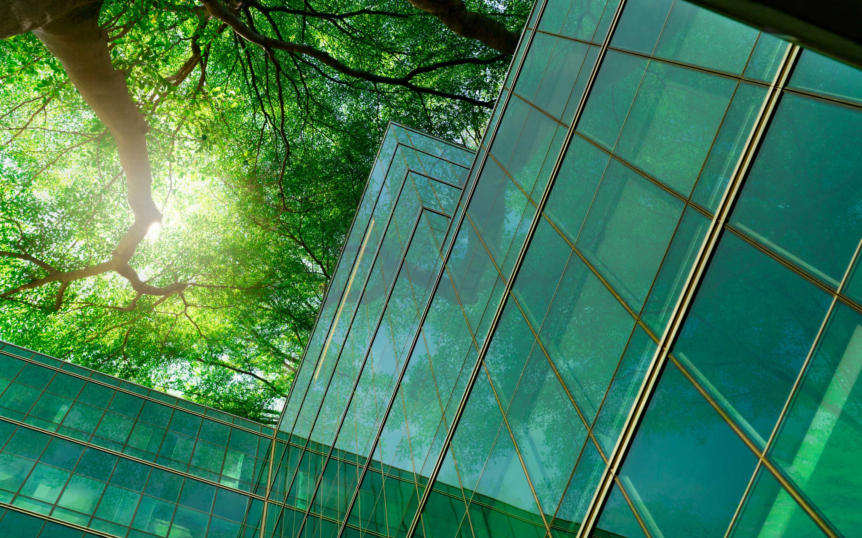 Capgemini_Green-Core-with-SAP