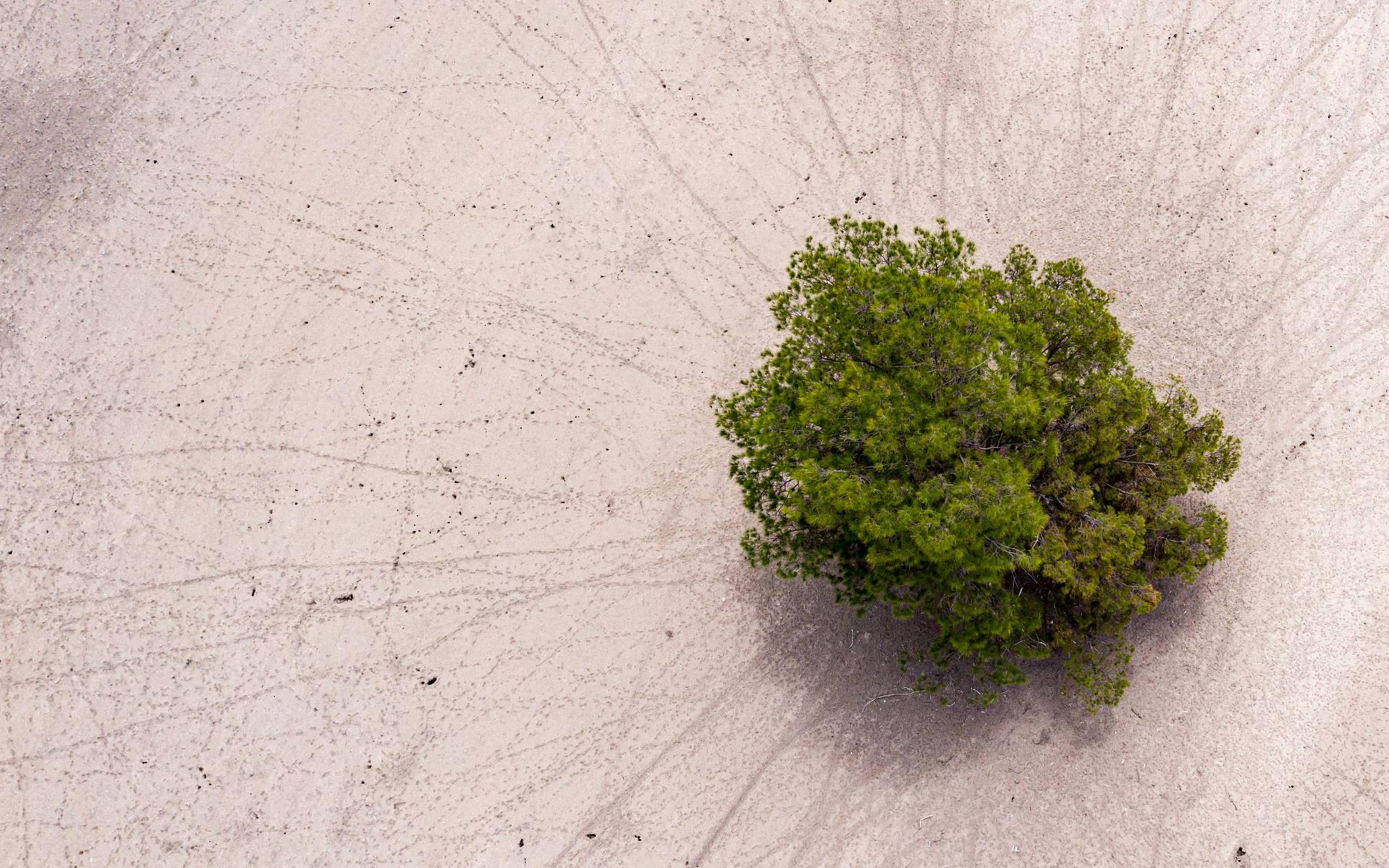 Climate of Change_2880-x-1800_1.5MB