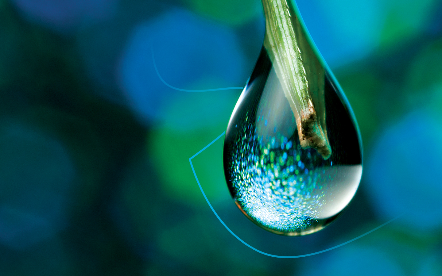 WQR2022_DotCom-Banner_1440x900