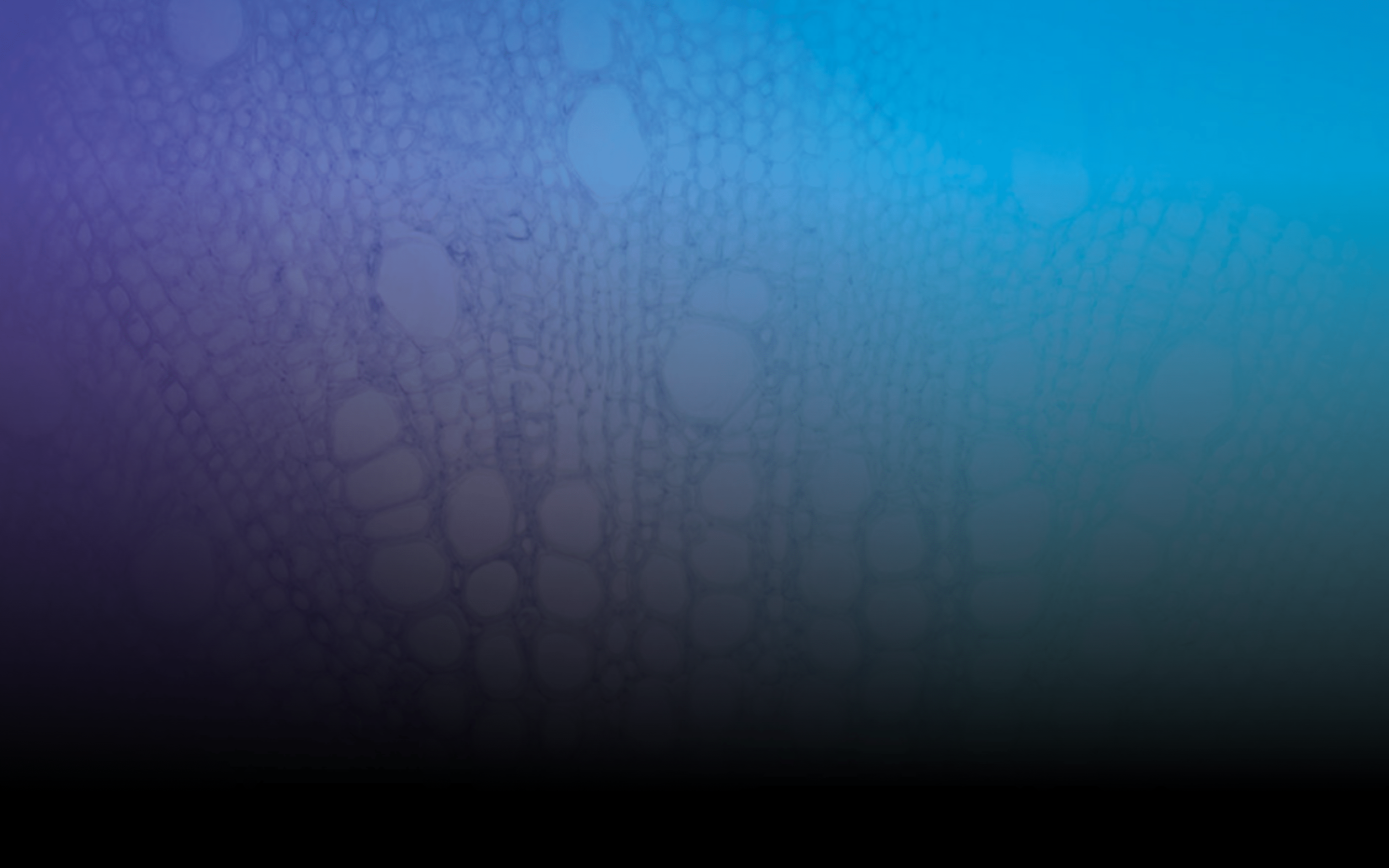Banner image v2