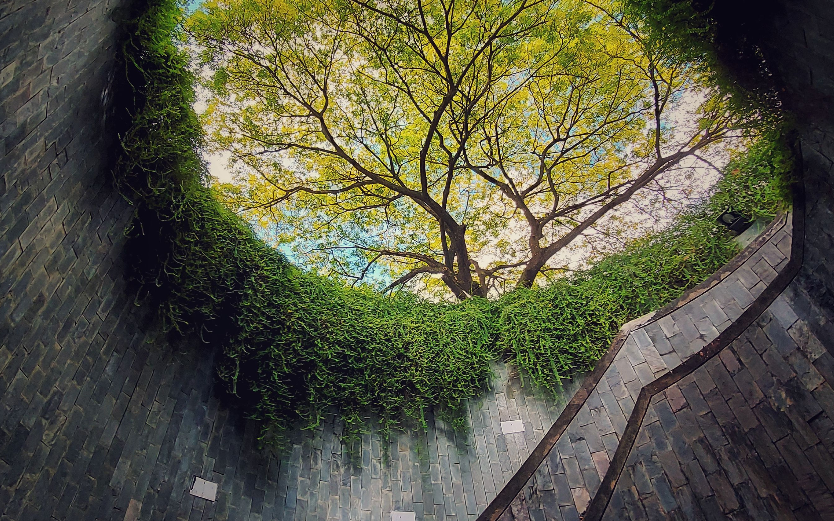 ls in sustainability