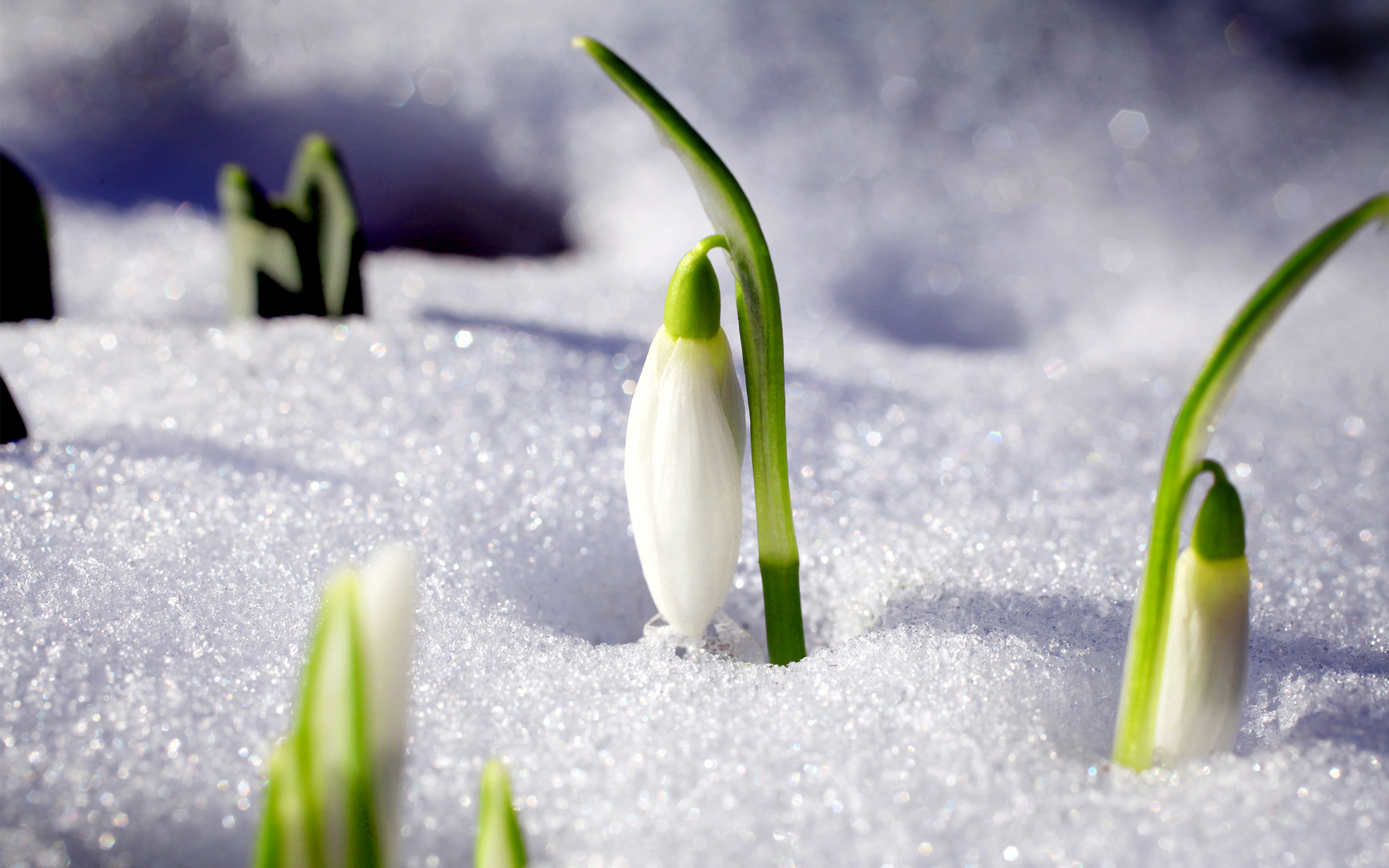 Dotcom_banner_2880x1800