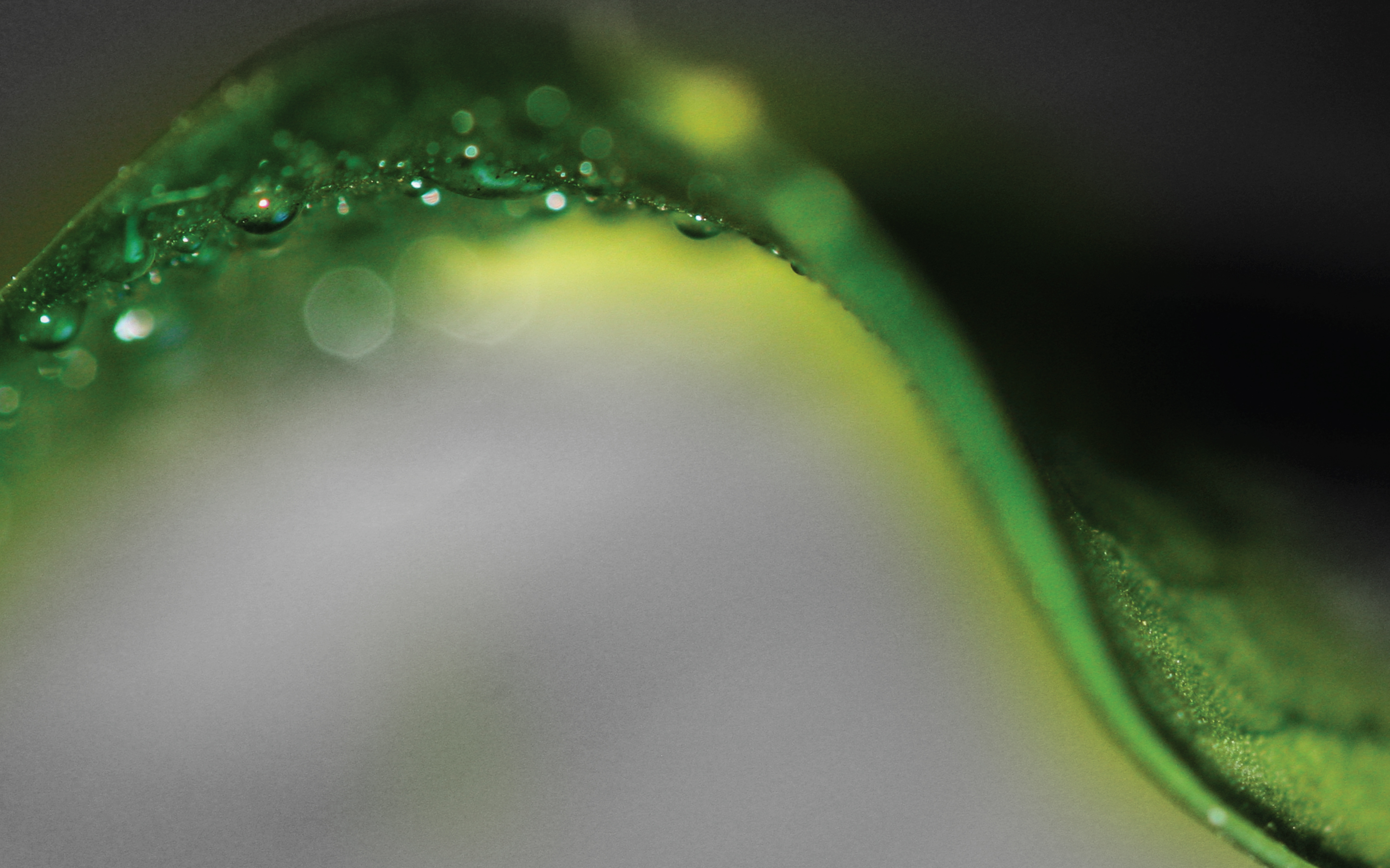 Dot-com-banner-2880-x-1800