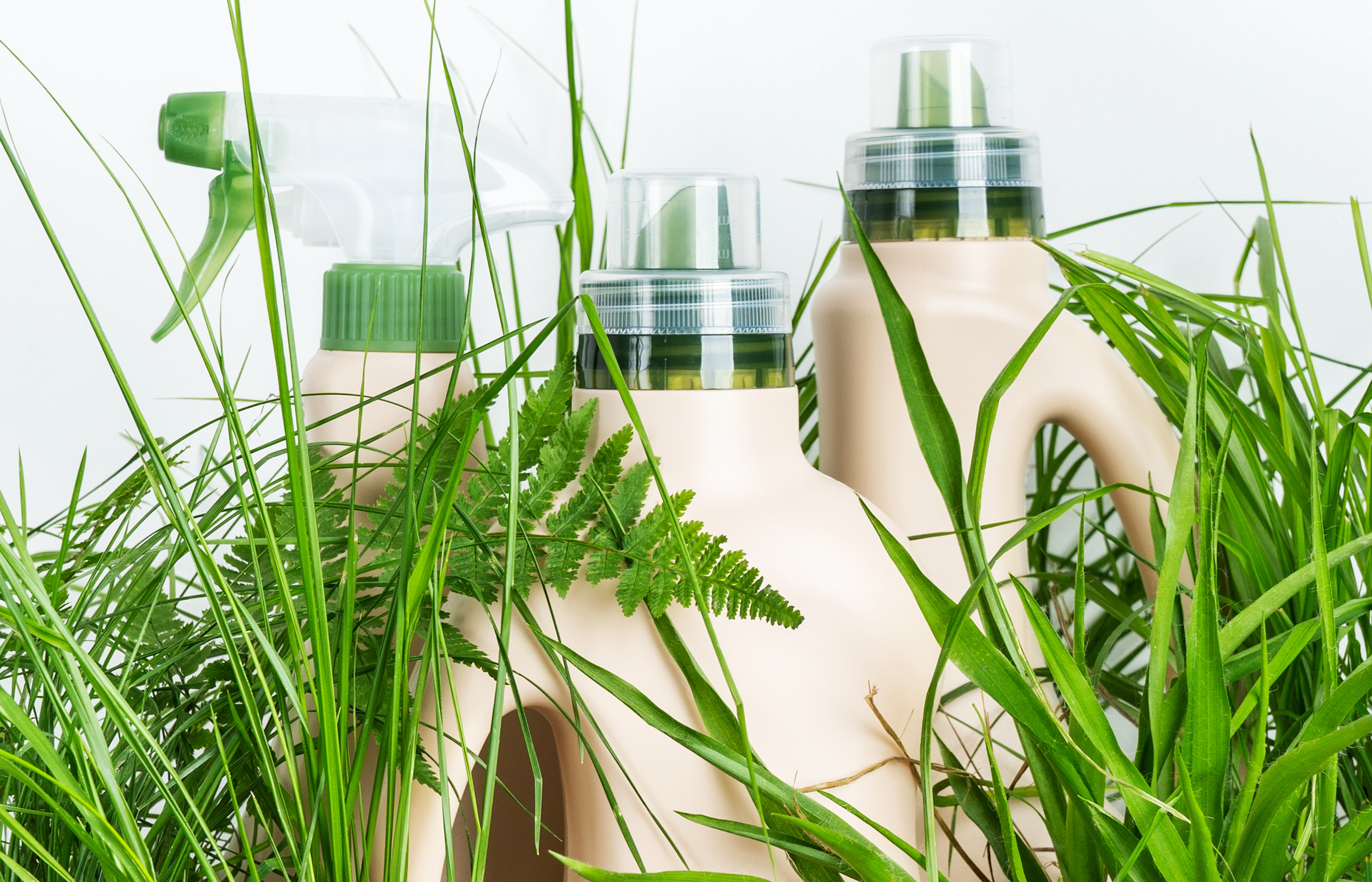 Sustainable packaging web image