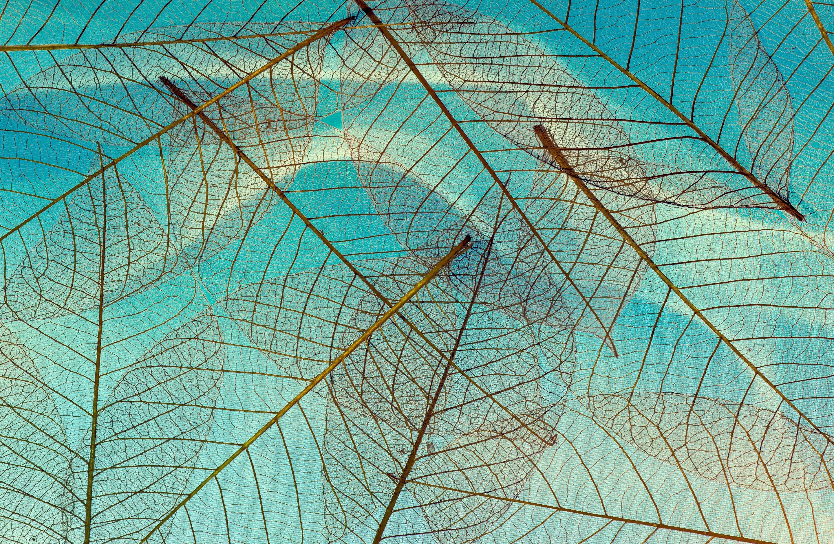 Netanticipate_banner_2880x1880