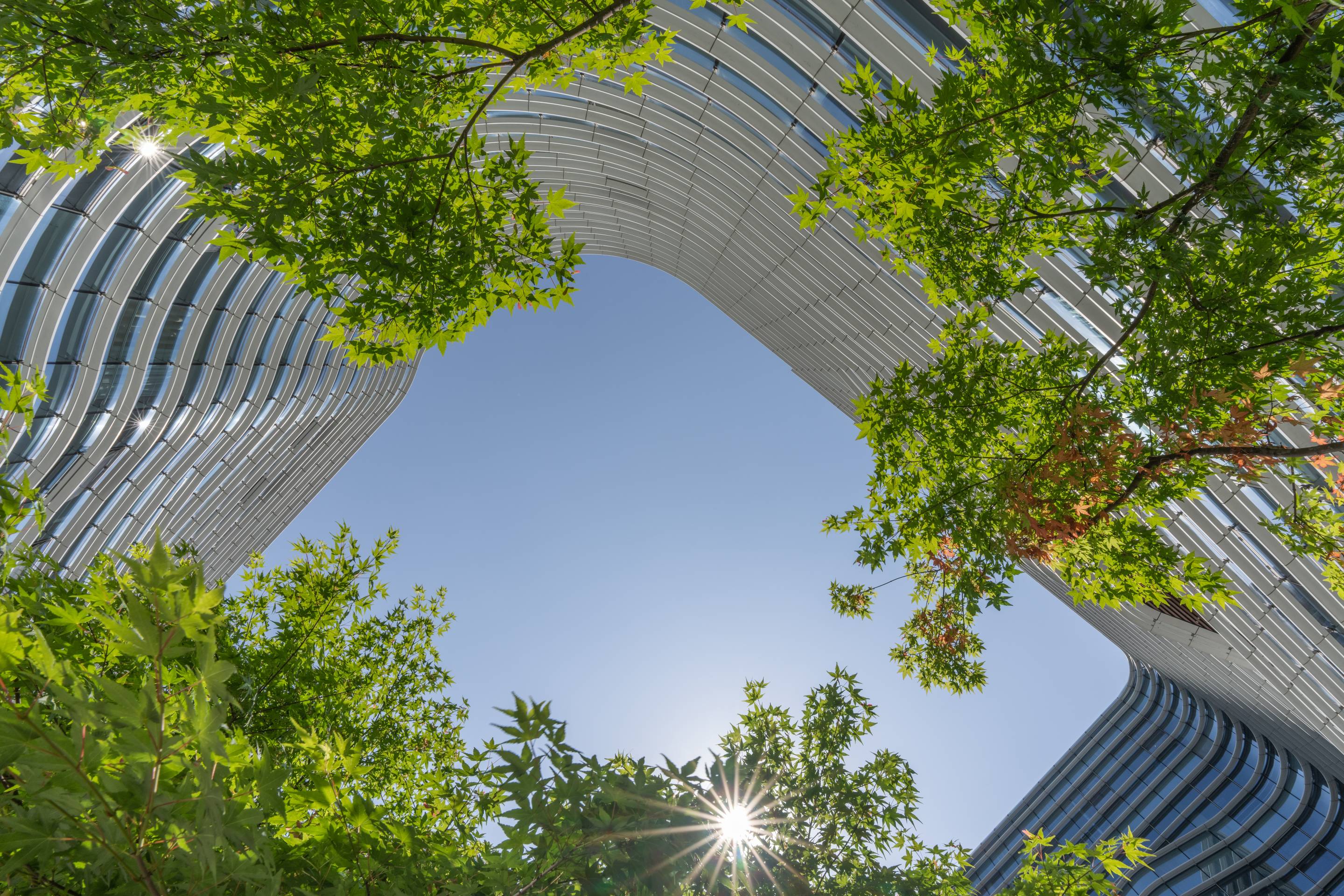 Modern eco city in Spring