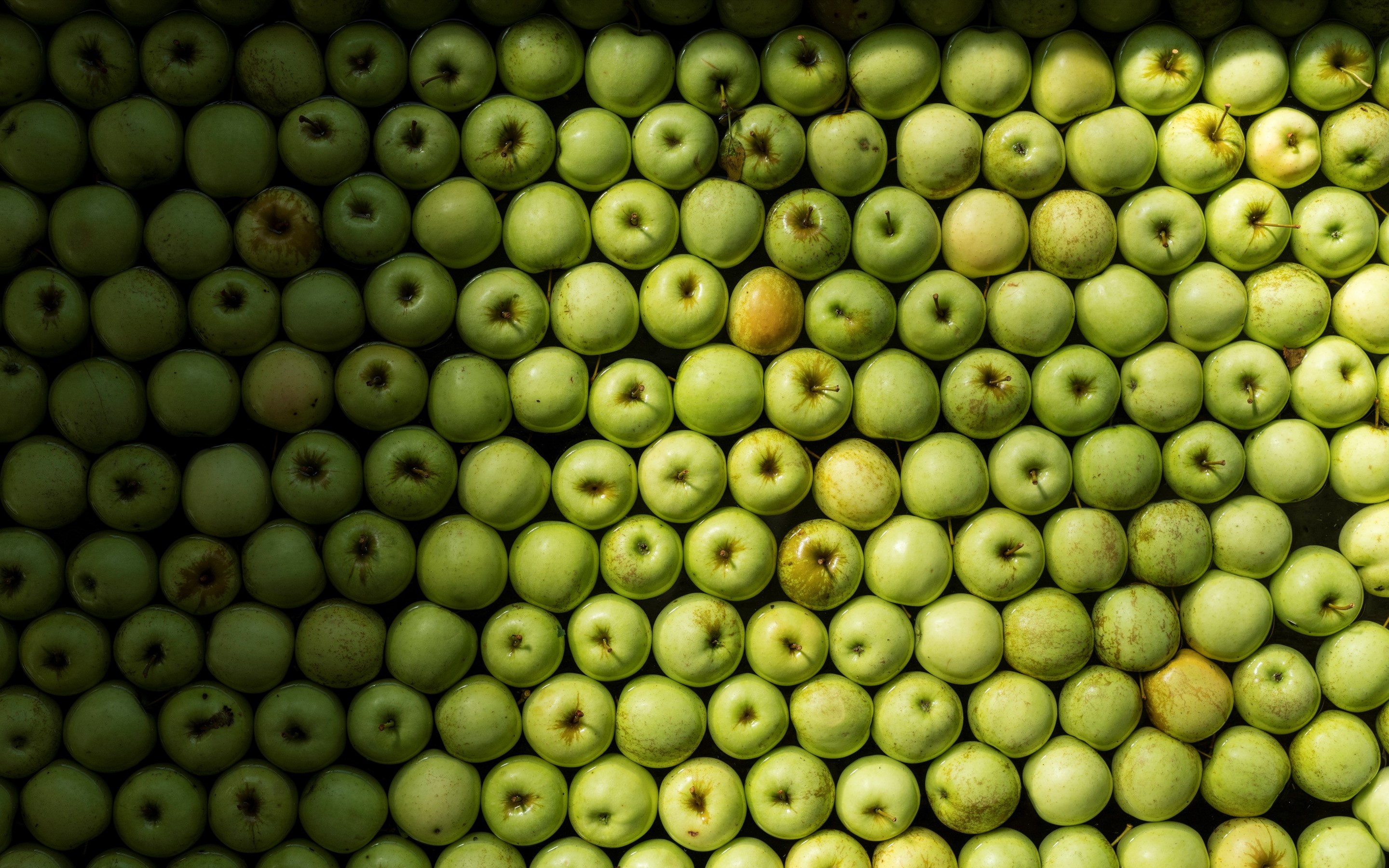 FoodWaste_POV-banner