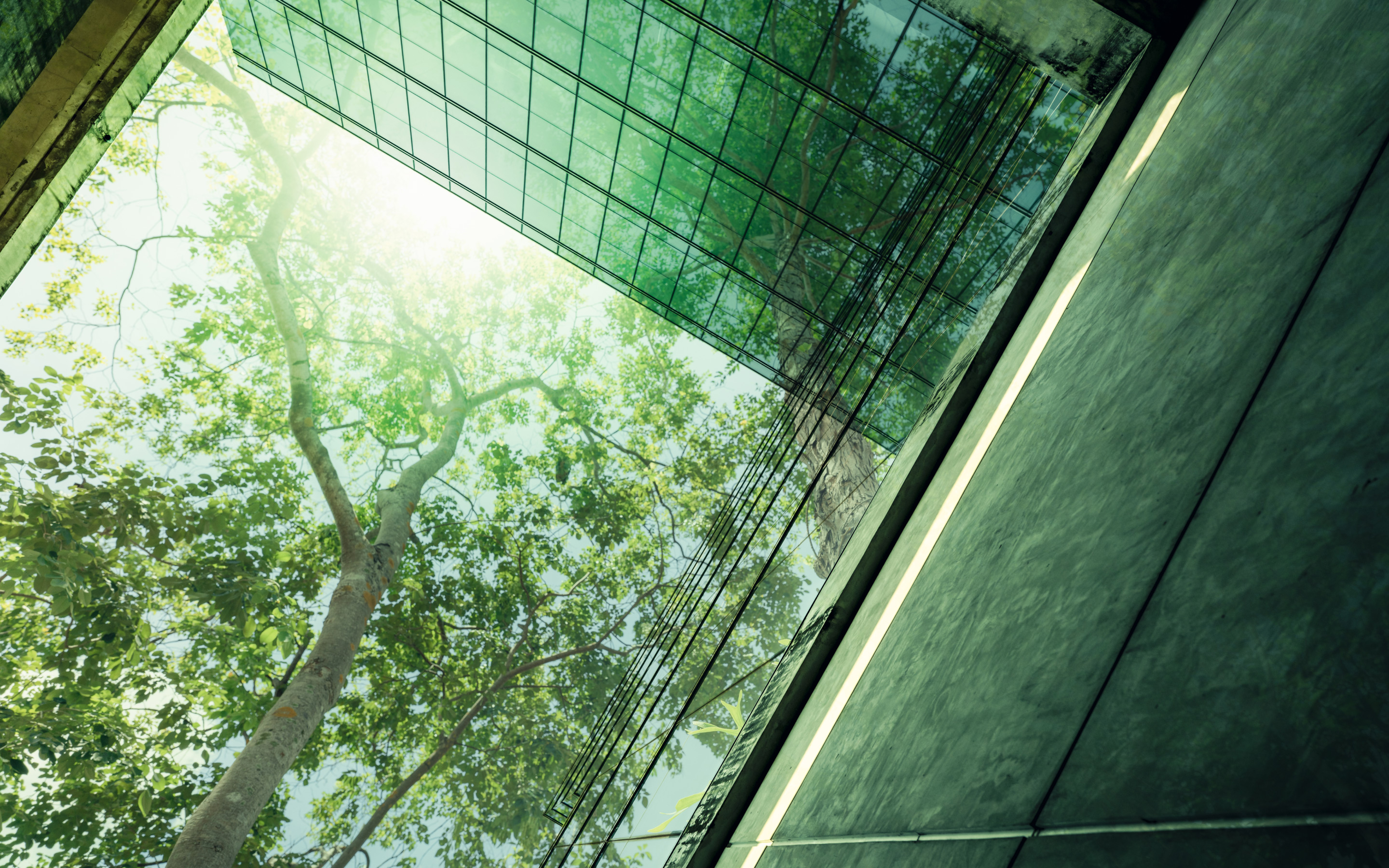 Banner CDP-SFP Webinar on ESG Reporting and CSRD