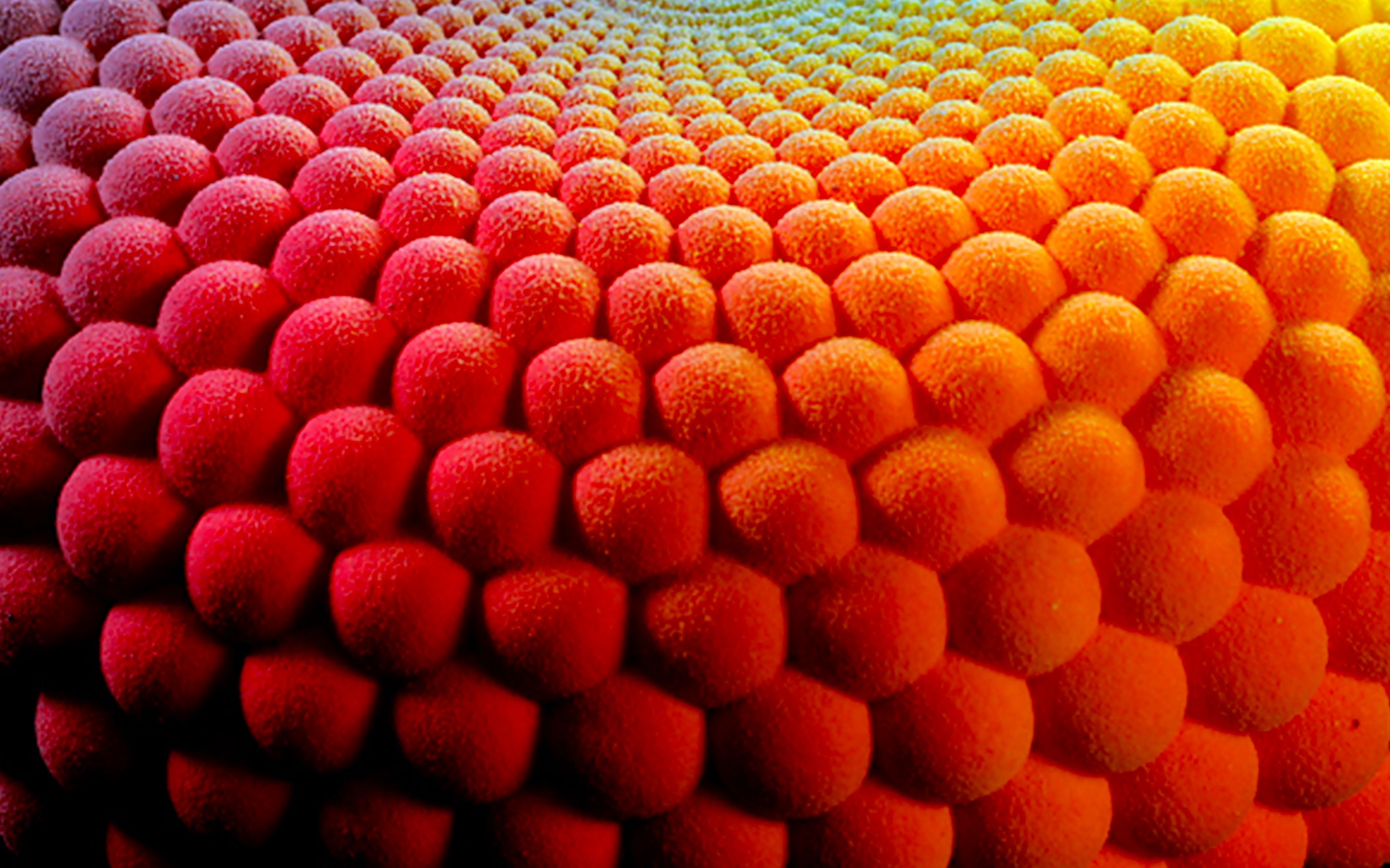 Generative AI in e-commerce-DotCom_Banner_2880X1800