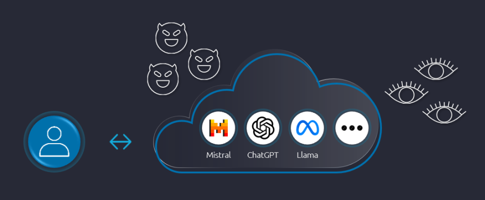 The diagram shows a user sending data to large language models (LLMs), and receiving a response. But because the LLMs are run on the public cloud, use raises privacy and control issues, and the risk of access by unauthorized parties.